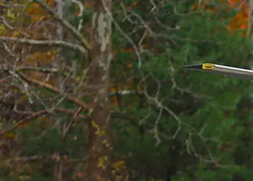 Video: real Bell 206 JetRanger startup and flight