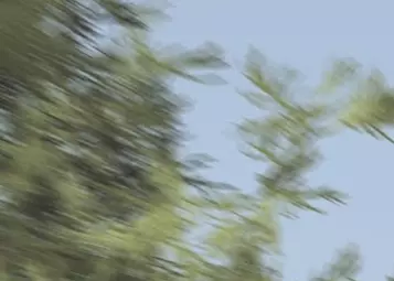 Forestry Operations with the UH-1H in DCS