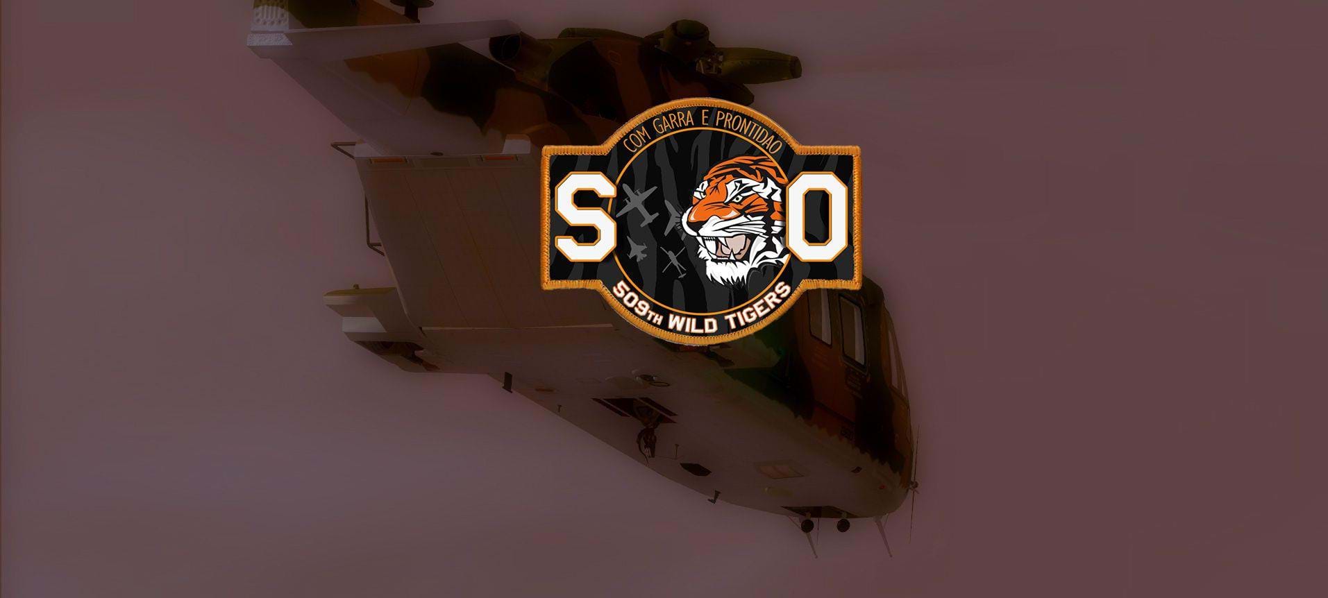 Interview: 509th Wild Tigers