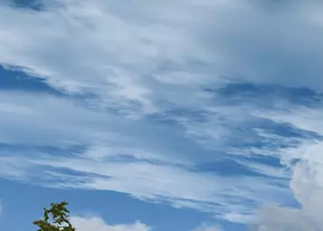 TerraFlora 1.2.0 was released for FSX and P3D