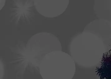 Happy Holidays!