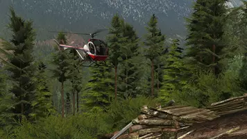 Hey developers: helicopter simmers are a really demanding bunch