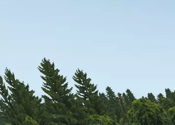 Preview: Allan & Burrows Island's update for X-Plane