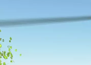A call to arms to helicopter flight sim companies- FSE 2019