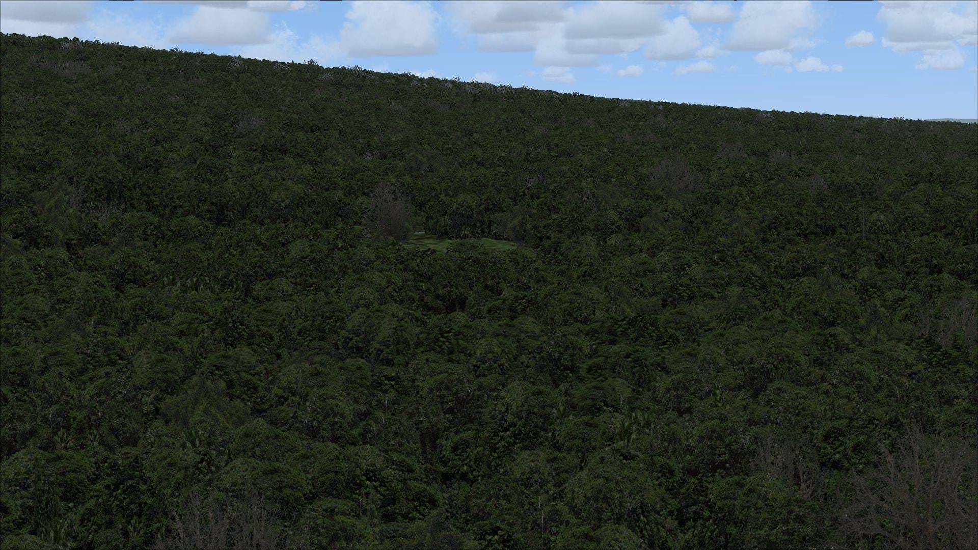 ORBX Trees HD - after