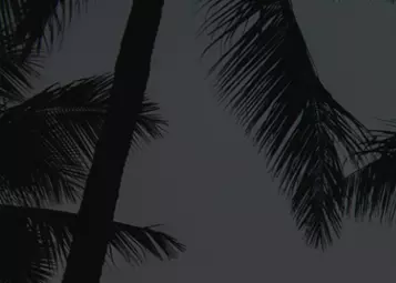 FlightSimExpo announces initial schedule and opens hotel registration