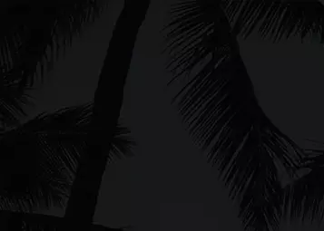 Thrustmaster is giving an all-expenses paid trip to Orlando for FlightSimExpo 2019