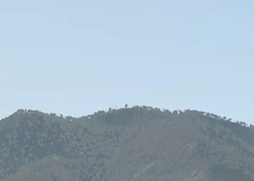 Having issues with the DreamFoil AS350 in X-Plane 11? Here's a patch.