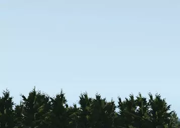 Helicopters and Mountain Flying - Part I