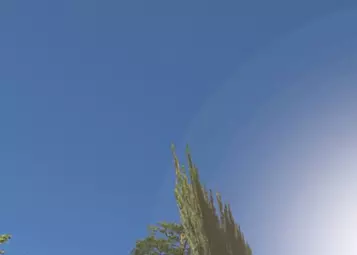Is helicopter flight simulation the epitome of VR use?