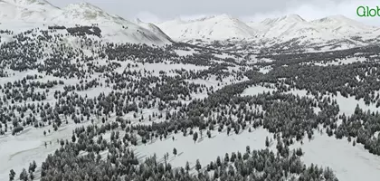 GeoReality Released Global Forests Vol. 2 North America for X-Plane