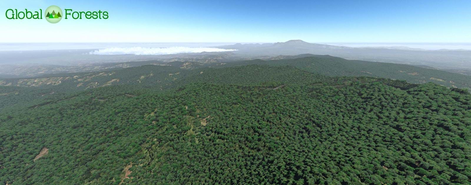 GeoReality Global Forests Vol. 2 North America for X-Plane