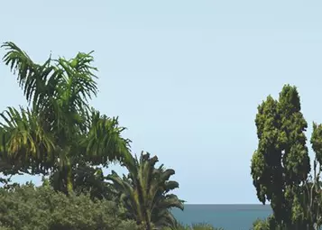 Review: Maps2XPlane Seychelles XP for X-Plane