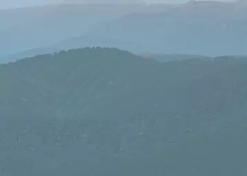 Review: JRX SA341B/SA342J Gazelle for X-Plane