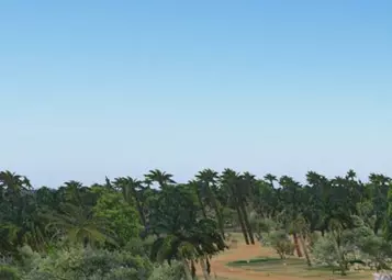 Freeware Okavango Delta scenery for X-Plane released