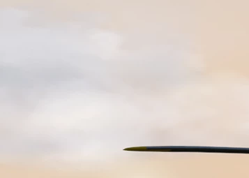 XFER Design updated us on the H145 project for X-Plane