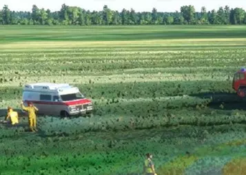 Virtual Air Ambulance Service: one year later