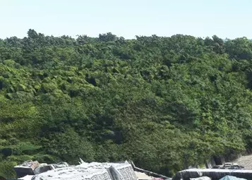 ZBW (New England/Boston) Area Helipads for MSFS
