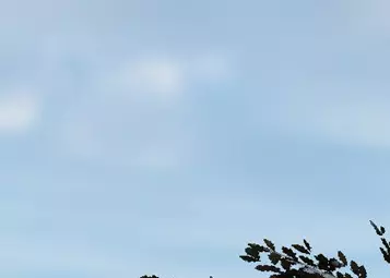 Global Forests v2 for X-Plane 12 now out