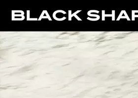 Eagle Dynamics released DCS: Black Shark 3 upgrade