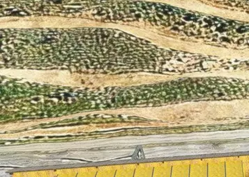 HRSimYard released 2 payware Austrian heliports for MSFS