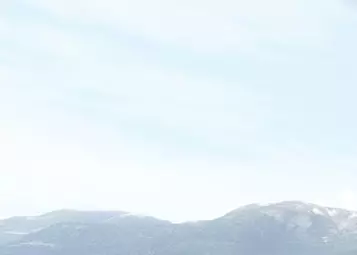Cowan Simulation released Bell 206L3 for MSFS, updated 206B3 and 500E