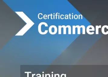 My initial impressions on MSFS2024 – I am not pleased